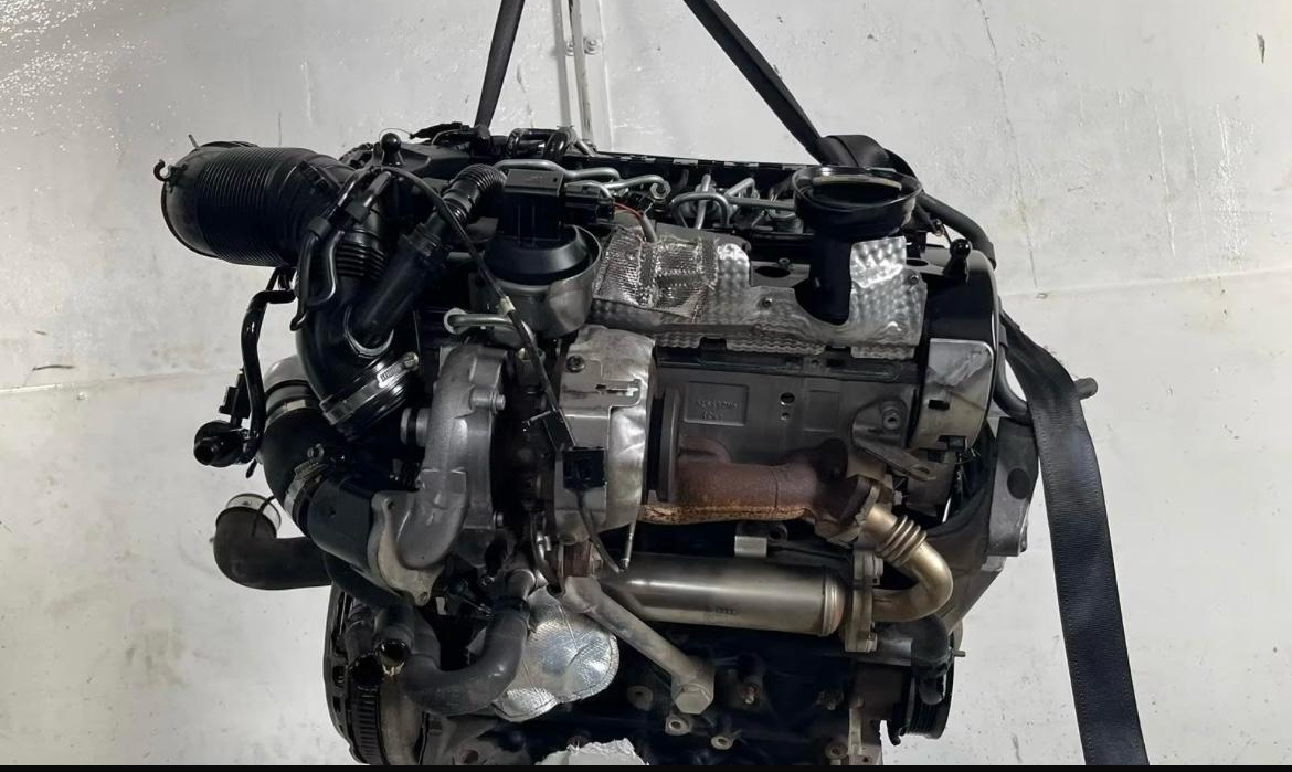 VW MOTORE CBD